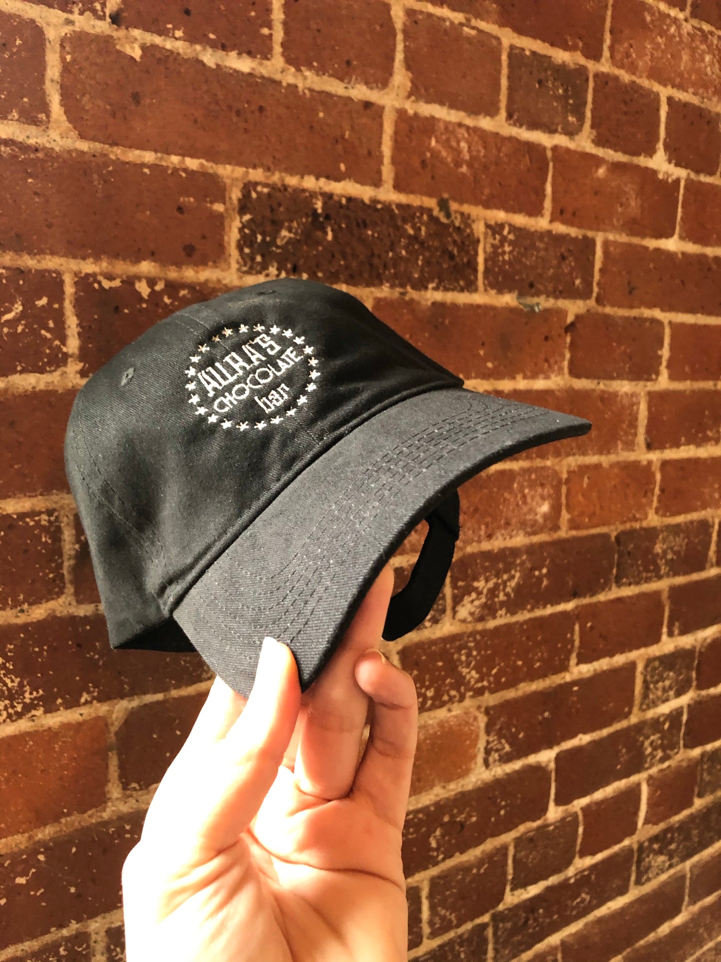 Logo Twill Hat